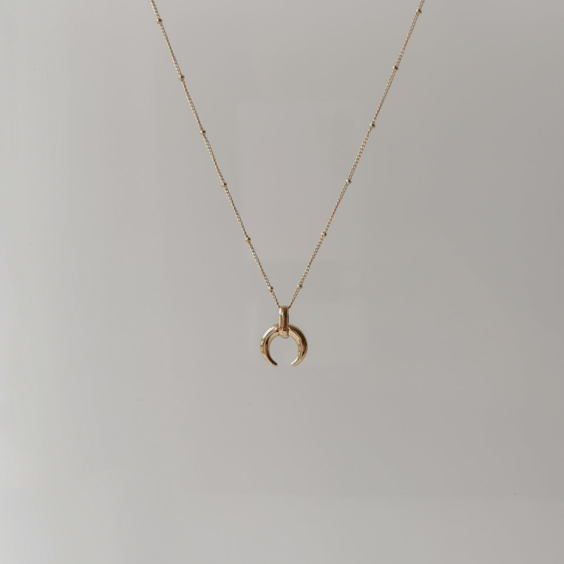 Reina Mini Crescent Necklace