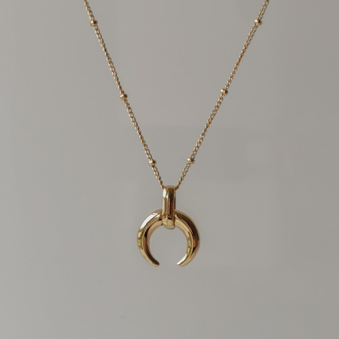 Reina Mini Crescent Necklace
